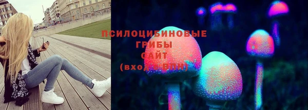 прущие грибы Надым