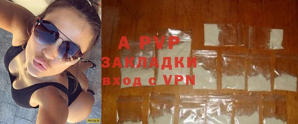 прущие грибы Надым