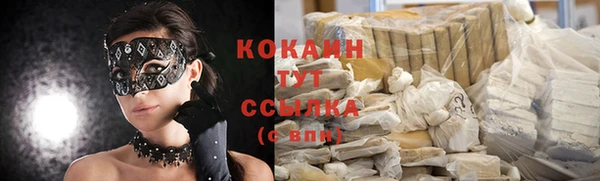 прущие грибы Надым