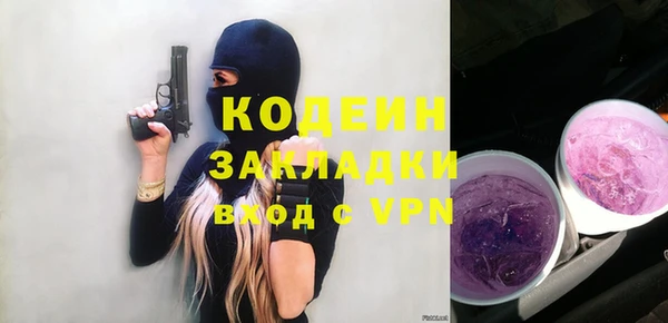 прущие грибы Надым
