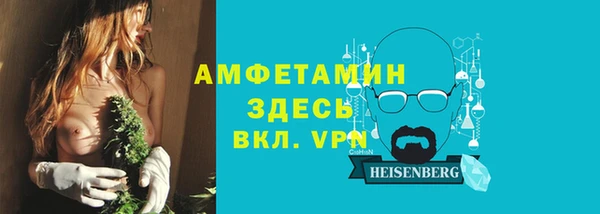 прущие грибы Надым