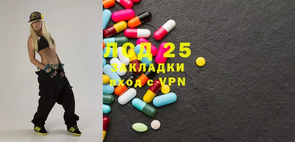 прущие грибы Надым
