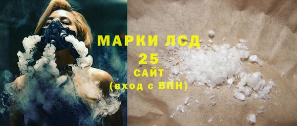 прущие грибы Надым