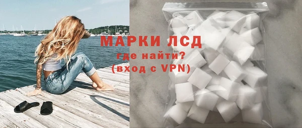 прущие грибы Надым