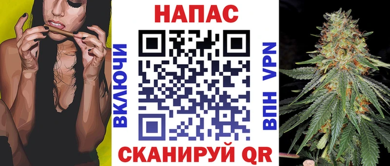 blacksprut ссылка  Пласт  Бошки Шишки ГИДРОПОН 